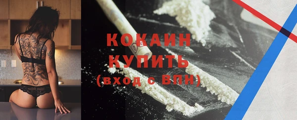 стафф Вязьма