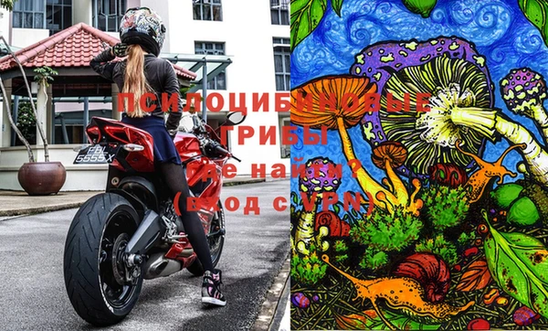 стафф Вязьма