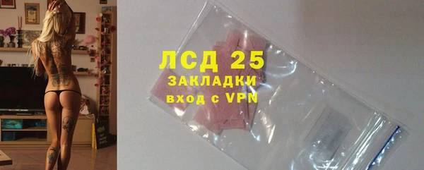 apvp Вяземский