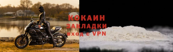 apvp Вяземский