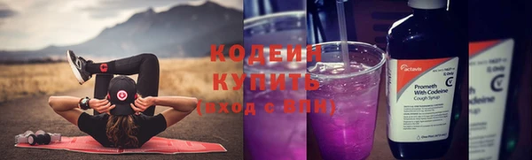 apvp Вяземский