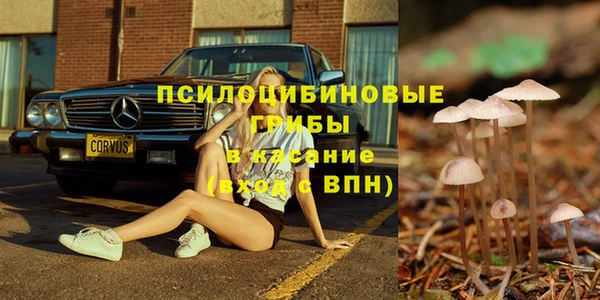 стафф Вязьма
