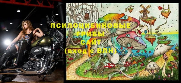стафф Вязьма