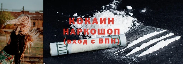 стафф Вязьма