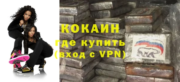 apvp Вяземский