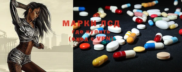 apvp Вяземский