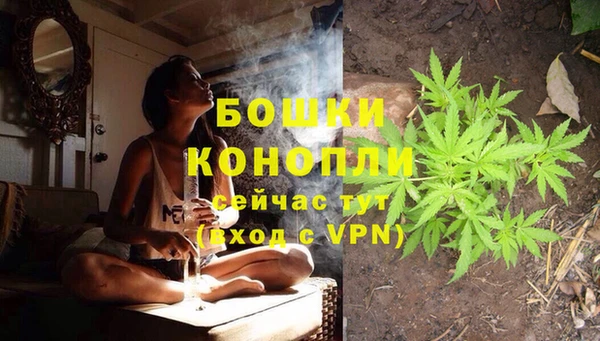 стафф Вязьма