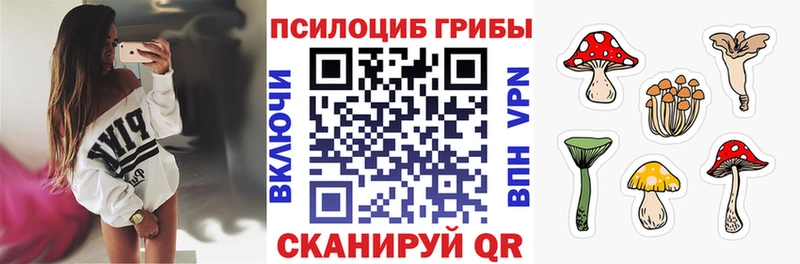 Псилоцибиновые грибы мицелий  Зубцов 