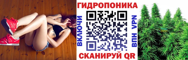 Шишки марихуана Amnesia  цена   Зубцов 